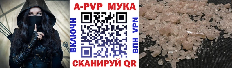 дарнет шоп  Питкяранта  Альфа ПВП СК КРИС 