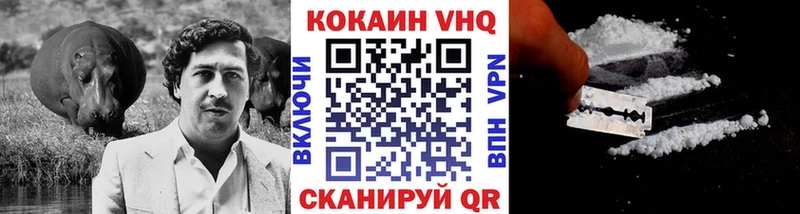 Cocaine FishScale  Питкяранта 