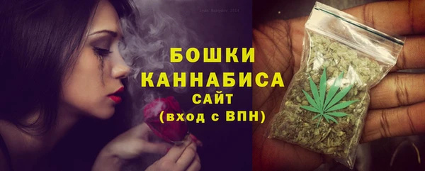 Альфа ПВП Дмитриев