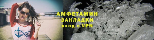шишки Осинники