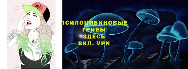 2c-b Новозыбков