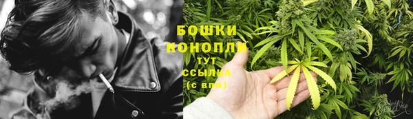 Альфа ПВП Дмитриев
