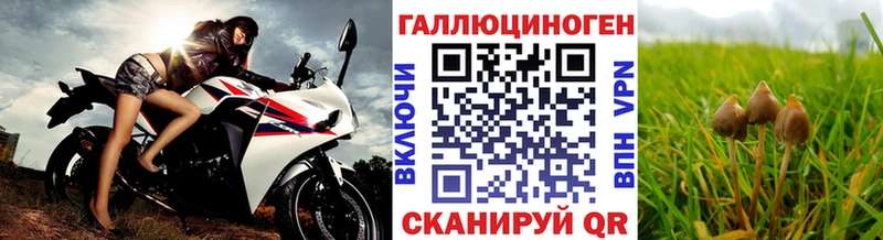 Псилоцибиновые грибы прущие грибы  где можно купить наркотик  Питкяранта 